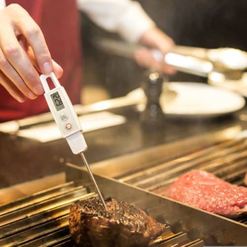 Best Instant Read Thermometer