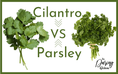 Cilantro vs Parsley - What Is The Difference?